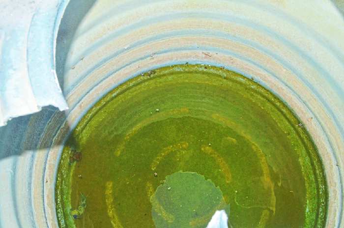 polluted water in tribal boys hostel