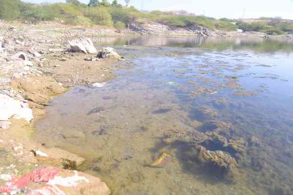 kaylana lake in jodhpur