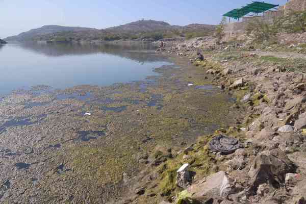 kaylana lake in jodhpur
