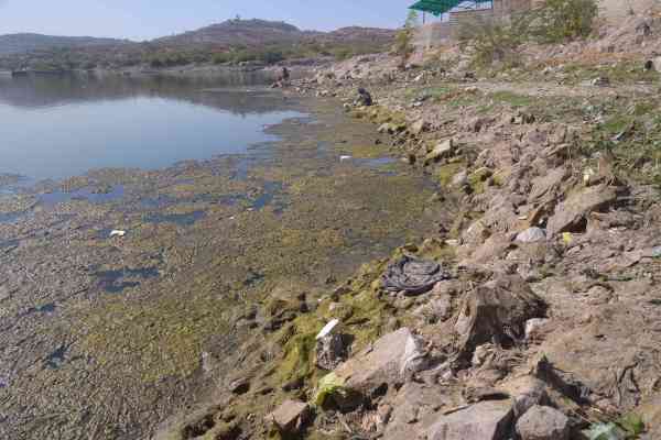 kaylana lake in jodhpur