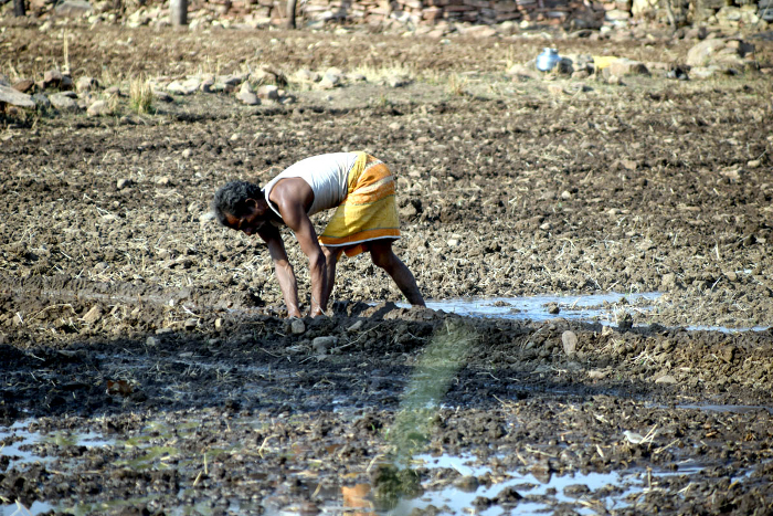 problem of farmers news rajathan
