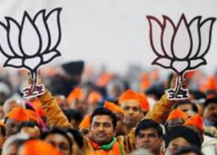 Nkay result, Nagar Nikay Chunav UP 2017 , Nikay Chunav 2017, Nagar Nikay Election, Nagar Nikay Chunav, Nagar Nikay Chunav UP, Nagar Nikay Chunav 2017, UP Politics, UP politics news, Exit poll, Aligarh nagar nigam, BJP, SP, BSP, congress, candidate, Samajwadi party