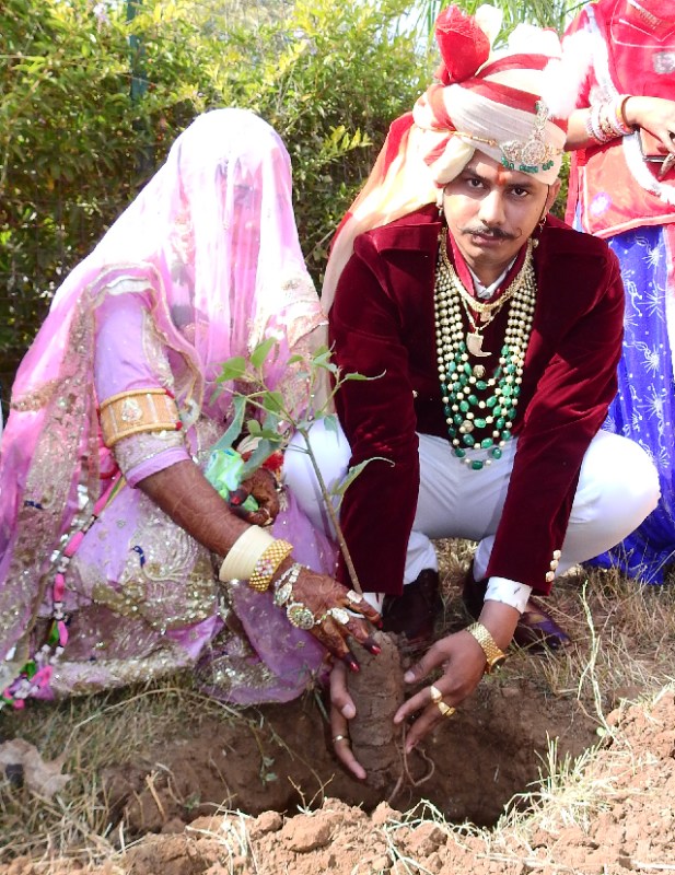 dulha-dulhan-did-planting
