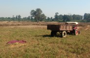 Dead body in farm