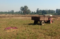 Dead body in farm