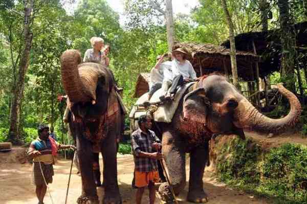 periyar elephant ride
