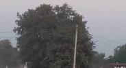 lalitpur news