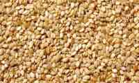 Sesame seeds health benefits 