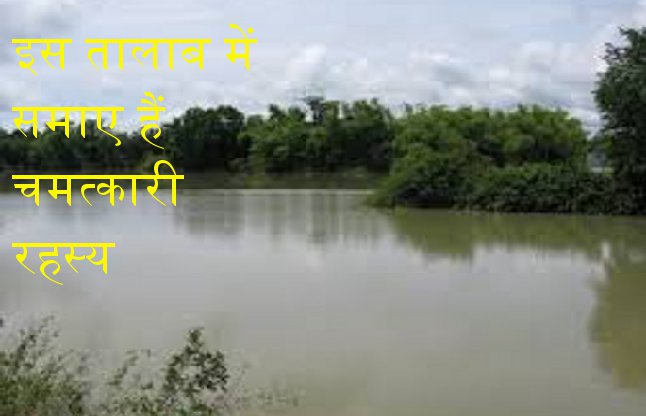 mysterious and miraculous pond