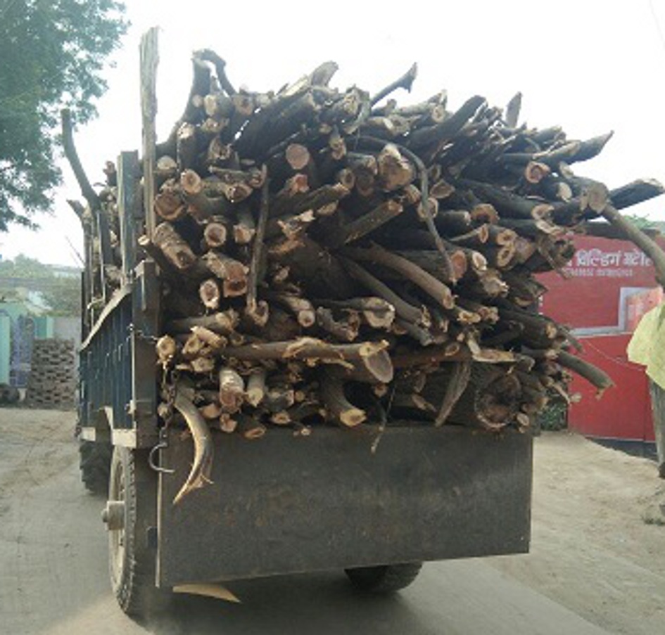 trolley, sold, UP, wood, village, bhind news, bhind news in hindi, mp news