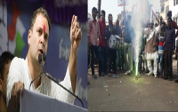 राहुल गांधी काशी में जश्न