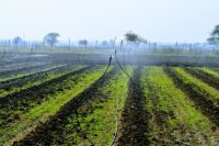 sprinkle irrigation