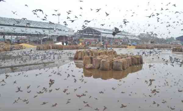 Rain in Winter Season