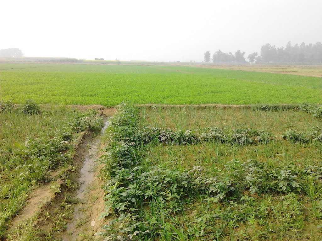 Rajsamand,Rajsamand news,Rajsamand Hindi news,rajsamand latest news rajsamand,rajsamand latest hindi news,Latest News rajsamand,Latest hindi news rajsamand,