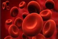 bone marrow transplant facilities in jodhpur