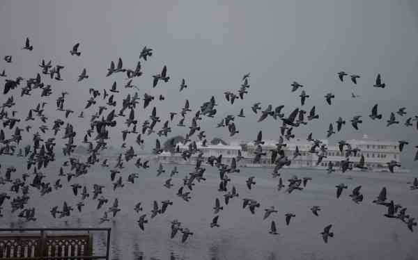 ockhi efffects in udaipur