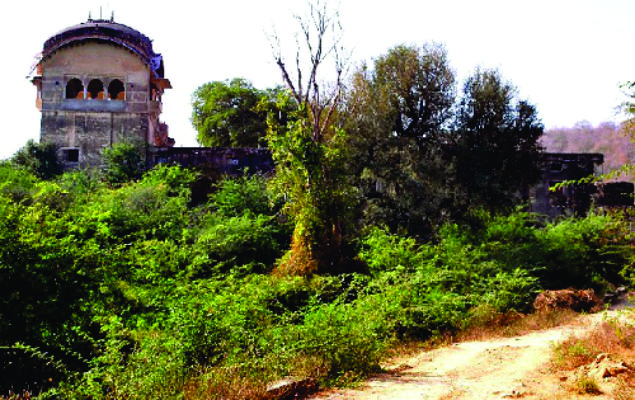 ramgarh-reached-tiger-t-91