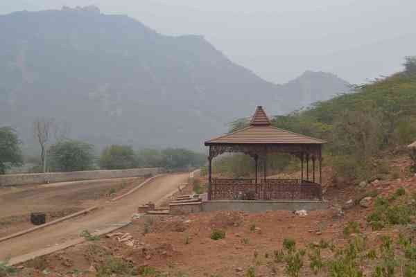 photos of natural bio diversity park in alwar