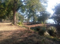 Know why deserted children's garden