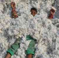 photos of child playing on kapas in alwar