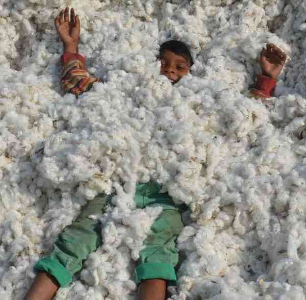 photos of child playing on kapas in alwar
