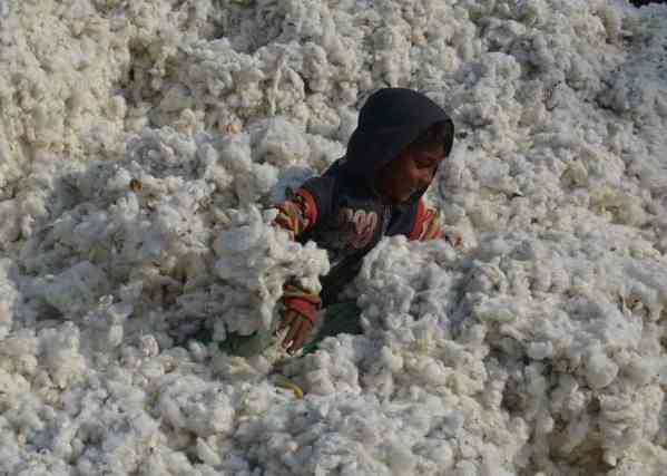 photos of child playing on kapas in alwar