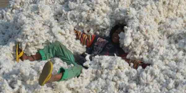 photos of child playing on kapas in alwar