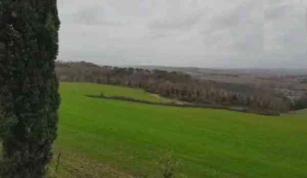 Virat Anushka married 