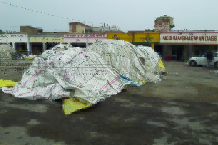 sriganganagar weather updates