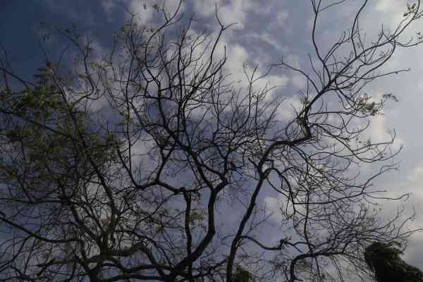 PICS: udaipur weather images