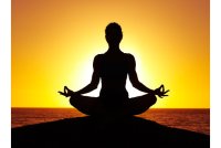 The enthusiasm of the elderly showing in Yoga