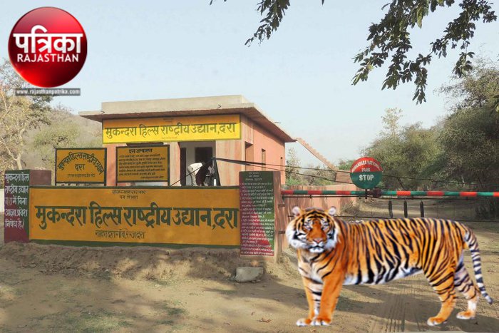 Mukundara Hills Tiger Reserve,  Ranthambore Tiger Reserve, Tiger in Mukundra, Tiger in Rajasthan, Tiger in Kota, Tiger in India, Tiger Reserve In Rajasthan, Tiger Reserve In India, Wild Life Century In India, Rajasthan Tourism,  Wild Life Tourism in India, enclosure in Mukundara Hills Tiger Reserve  