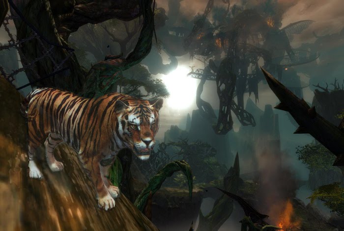 Tiger protection area in rajasthan,Tiger locate in rajasthan, tiger seems in baran,wild animal teritory in baran,sorsan forest area,ranthambhor in rajasthan,forest area in baran,forest department of baran, rajasthan p[atrika, baran patrika,latest news in bar