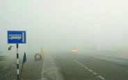 Cold and fog,Thar