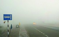 Cold and fog,Thar