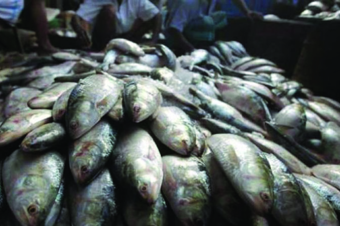 rakesh change his life