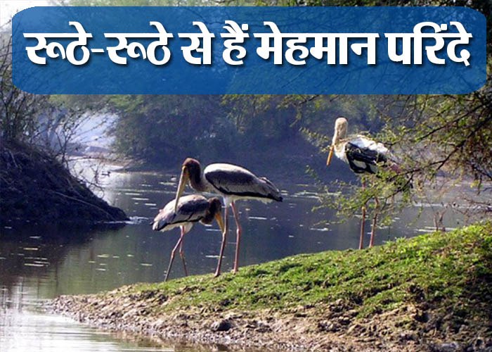 sandi bird sanctuary