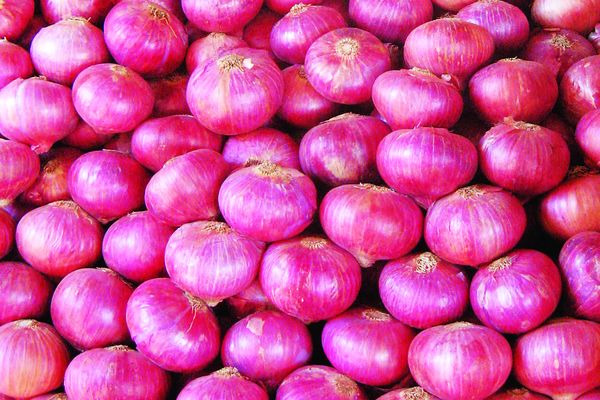 onion benefits for cancer and diabetes