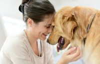 relationship with pet