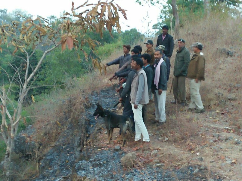 Know Who is the Toughen and the Mastmind of the Cubs?