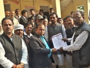 अपना दल का प्रदर्शन