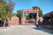 wild animals at machia biological park jodhpur