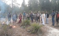 MLA in elephants efected area