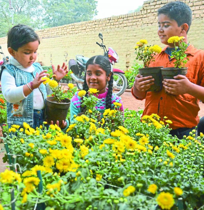flowers from other states are bringing to alwar