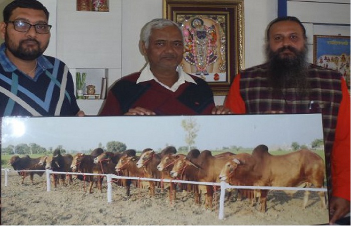 Animal husbandry management