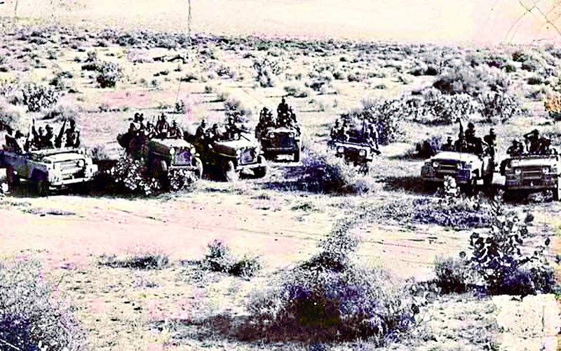 warriors of Thar, Partner of the 1971 war