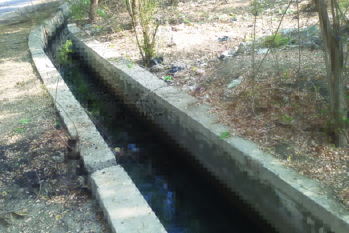 people problem in suratgarh thermal