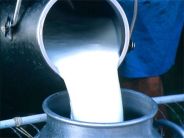 Milk prices fell
