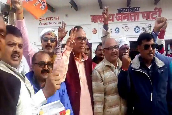 BJP Celebration