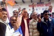 BJP Celebration